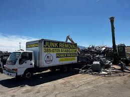 Best Demolition Debris Removal  in Ligh, NE